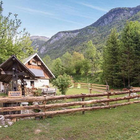 班斯卡比斯特里察Lizina Hiska House Bohinj别墅 外观 照片