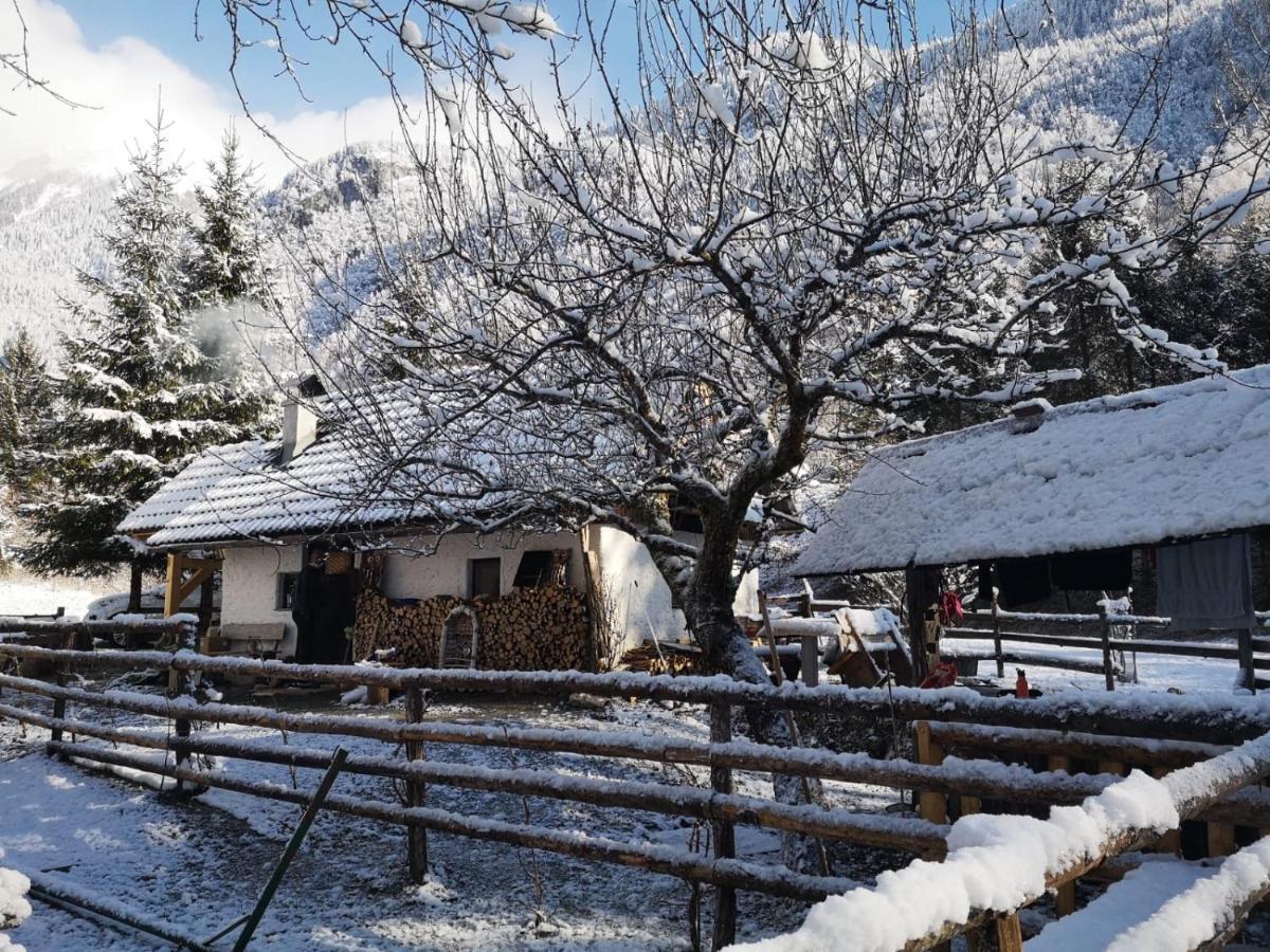 班斯卡比斯特里察Lizina Hiska House Bohinj别墅 外观 照片