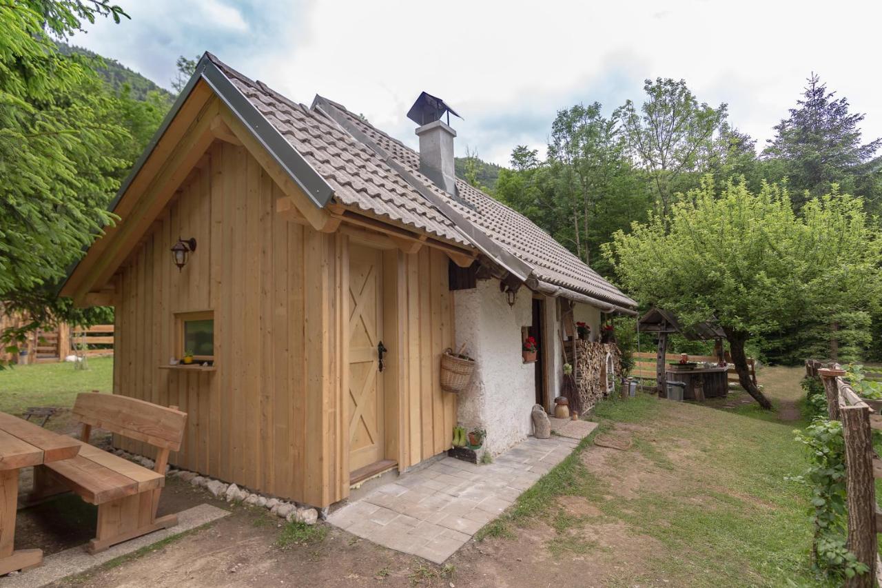 班斯卡比斯特里察Lizina Hiska House Bohinj别墅 外观 照片