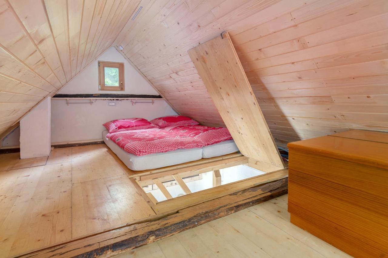班斯卡比斯特里察Lizina Hiska House Bohinj别墅 外观 照片