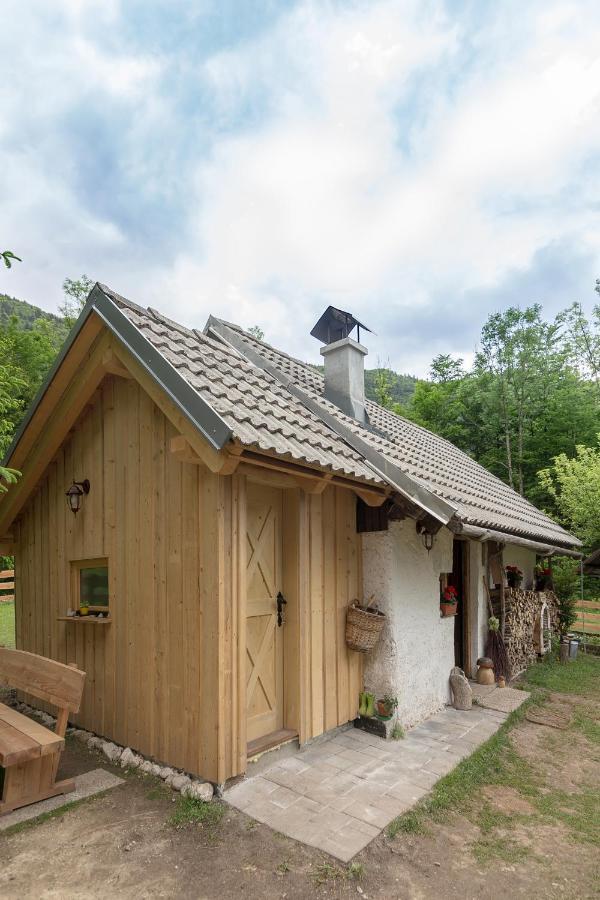 班斯卡比斯特里察Lizina Hiska House Bohinj别墅 外观 照片